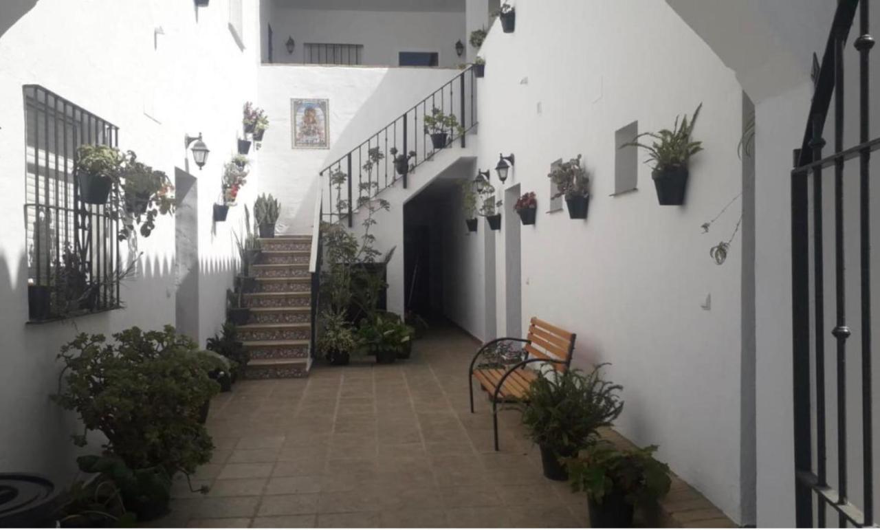 Alojamiento Rural Al'Mare Conil De La Frontera Buitenkant foto