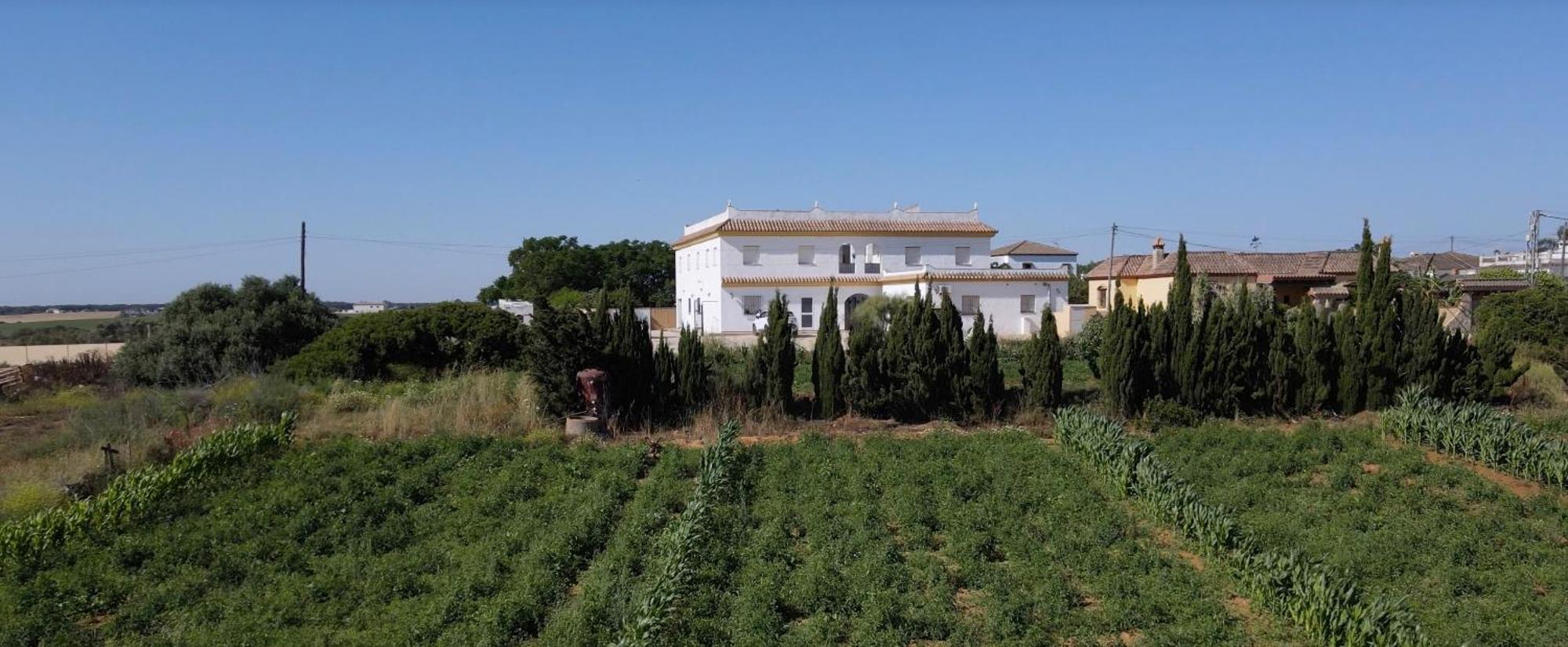 Alojamiento Rural Al'Mare Conil De La Frontera Buitenkant foto