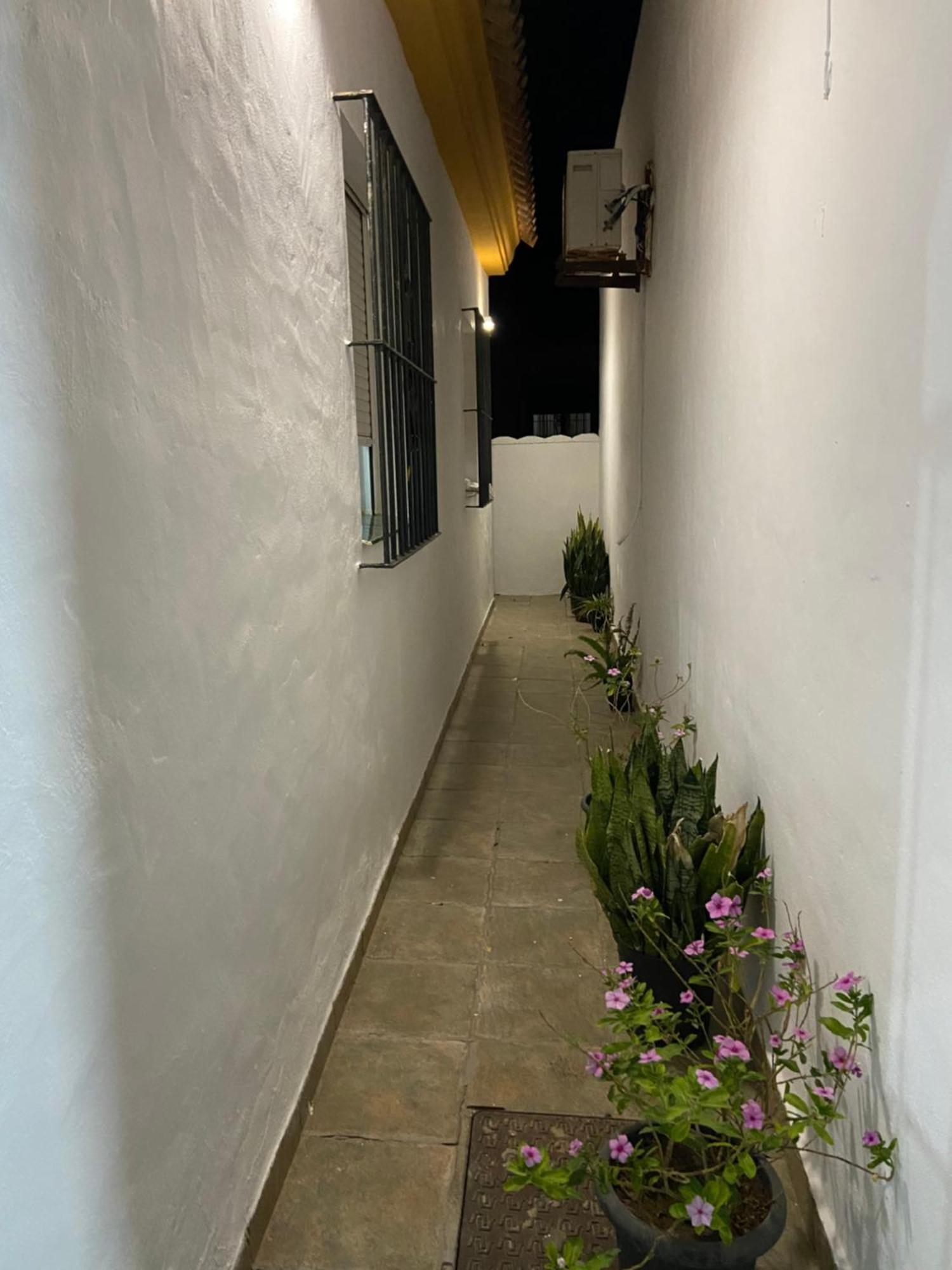 Alojamiento Rural Al'Mare Conil De La Frontera Buitenkant foto