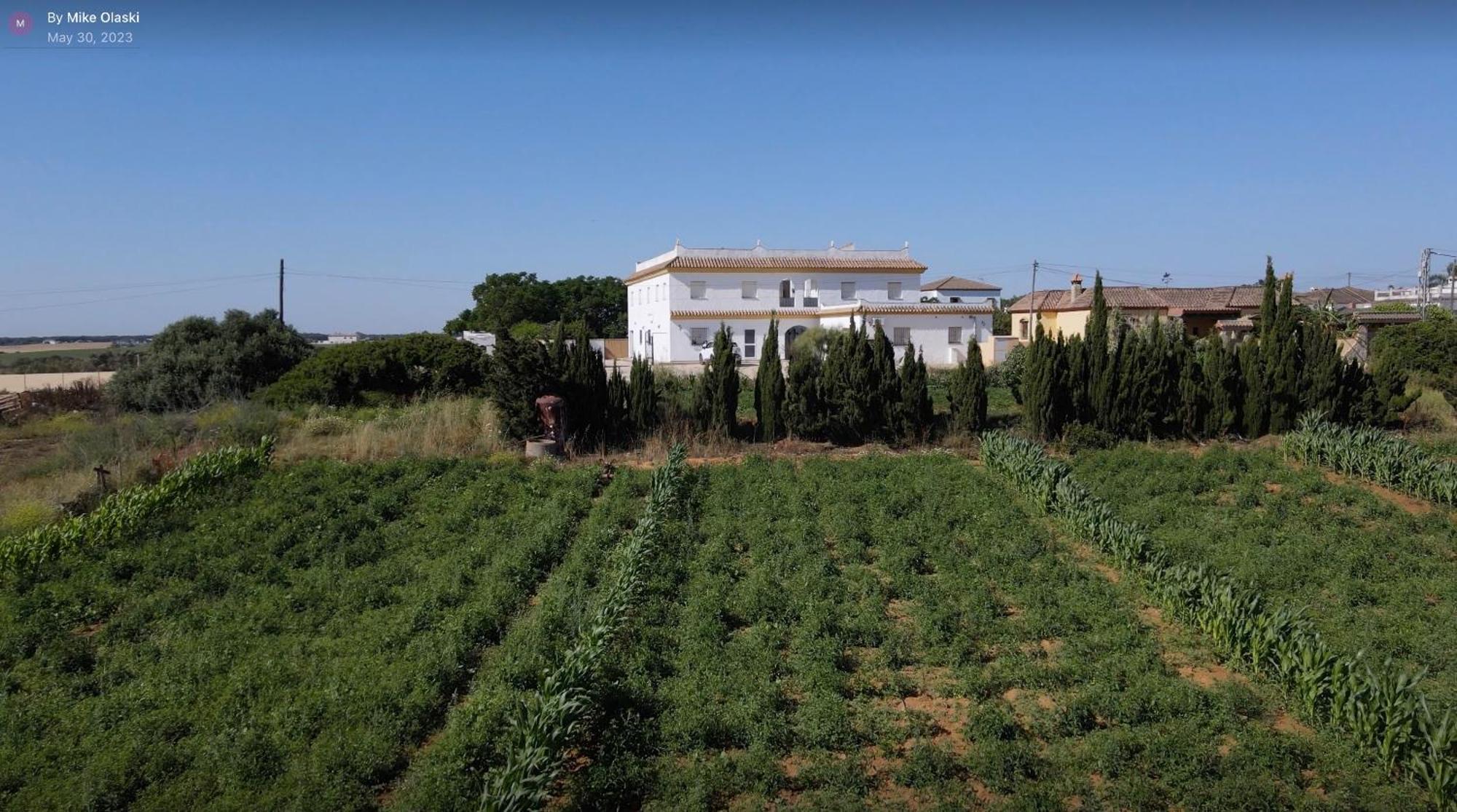 Alojamiento Rural Al'Mare Conil De La Frontera Buitenkant foto